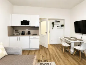 Prodej bytu 1+kk, Praha - Nové Město, Petrská, 29 m2