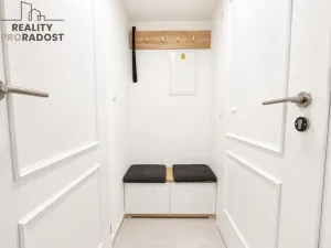 Prodej bytu 1+kk, Praha - Nové Město, Petrská, 29 m2