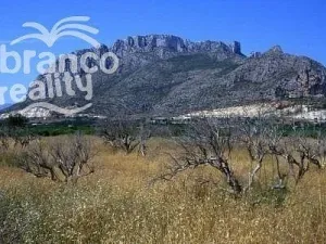 Prodej rodinného domu, El Verger, Alicante, Španělsko, 90 m2