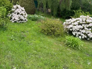 Prodej rodinného domu, Rýmařov, Opavská, 150 m2