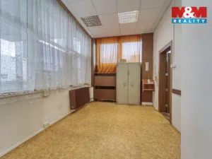 Pronájem obchodního prostoru, Plzeň - Jižní Předměstí, Husova, 93 m2
