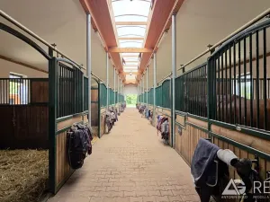 Prodej zemědělského objektu, Úžice, 5128 m2