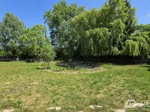 Prodej zemědělského objektu, Úžice, 5128 m2