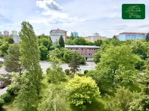 Prodej bytu 2+1, Praha - Strašnice, Štěchovická, 50 m2