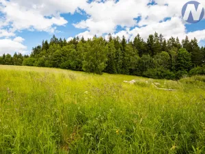Prodej pozemku pro bydlení, Prachatice - Perlovice, 2650 m2