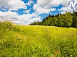 Prodej pozemku pro bydlení, Prachatice - Perlovice, 2650 m2