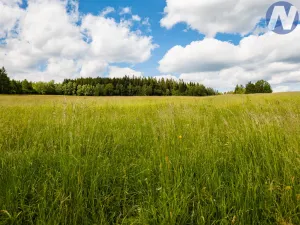 Prodej pozemku pro bydlení, Prachatice - Perlovice, 2650 m2
