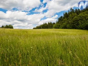 Prodej pozemku pro bydlení, Prachatice - Perlovice, 2650 m2