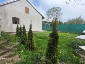 Pronájem rodinného domu, Olomouc, 81 m2