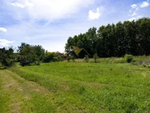 Prodej pozemku, Hrabětice, Hrušovanská, 2783 m2