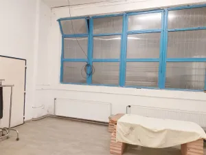 Pronájem výrobních prostor, Český Brod, 3600 m2