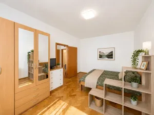 Pronájem bytu 2+kk, Brno, Rybářská, 49 m2