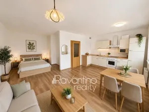 Prodej bytu 1+kk, Brno, Podveská, 41 m2