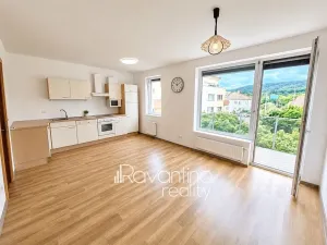 Prodej bytu 1+kk, Brno, Podveská, 41 m2