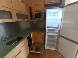 Pronájem bytu 2+kk, Praha - Horní Měcholupy, R.A. Dvorského, 69 m2