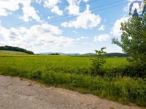 Prodej pozemku pro bydlení, Brloh - Rojšín, 1291 m2