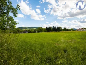 Prodej pozemku pro bydlení, Brloh - Rojšín, 1291 m2
