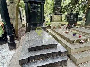 Prodej - jiné, Praha - Žižkov, Vinohradská, 5 m2