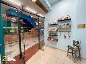 Pronájem obchodního prostoru, Hodonín, Masarykovo nám., 10 m2