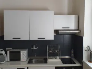 Pronájem bytu 1+1, Praha - Žižkov, Seifertova, 35 m2