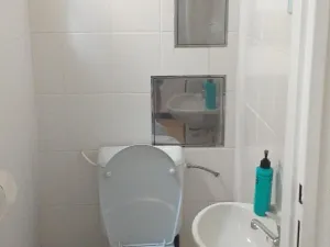 Pronájem bytu 1+1, Praha - Žižkov, Seifertova, 35 m2
