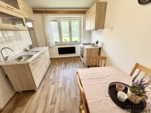 Prodej bytu 2+1, Sklené, 49 m2