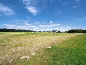 Prodej pozemku pro bydlení, Vřesina, Revoluční, 859 m2