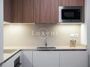 Pronájem bytu 2+kk, Praha - Smíchov, Holečkova, 72 m2