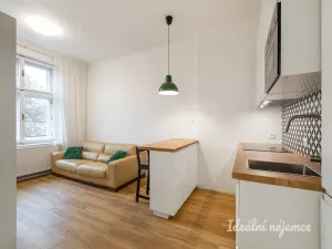 Pronájem bytu 2+kk, Praha - Nusle, Čiklova, 47 m2