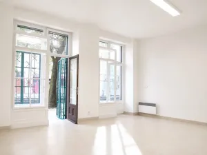 Prodej obchodního prostoru, Praha - Nusle, 34 m2