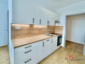 Pronájem bytu 1+1, Zliv, Školní, 43 m2