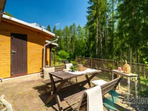 Prodej chaty, Boršov nad Vltavou - Jamné, 44 m2