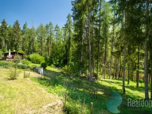 Prodej chaty, Boršov nad Vltavou - Jamné, 44 m2