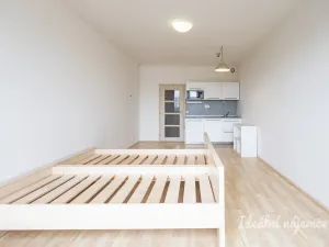 Pronájem bytu 1+kk, Praha, Freyova, 33 m2