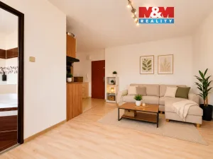 Pronájem bytu 1+kk, Ostrava - Moravská Ostrava, Petra Křičky, 28 m2