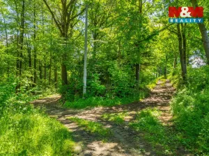 Prodej komerčního pozemku, Neustupov - Jiřetice, 885224 m2