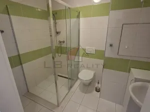 Pronájem bytu 2+kk, Velký Osek, U hřiště, 66 m2