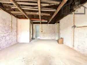 Prodej rodinného domu, Bor - Holostřevy, 380 m2
