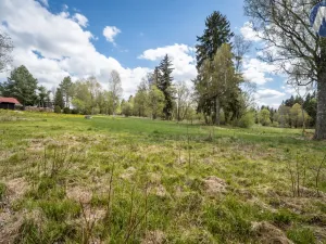 Prodej pozemku pro bydlení, Strážný, 2500 m2