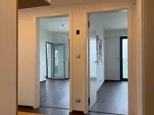 Pronájem bytu 3+kk, Praha - Žižkov, Olšanská, 83 m2