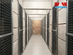 Pronájem bytu 1+kk, Praha - Vršovice, Petrohradská, 30 m2