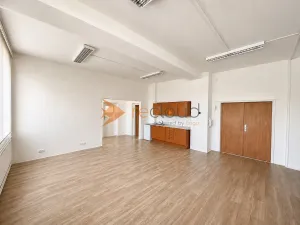 Pronájem kanceláře, České Budějovice - České Budějovice 3, K. Světlé, 71 m2