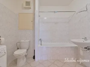 Pronájem bytu 2+kk, Brno, Bělohorská, 64 m2