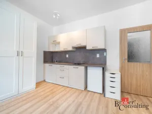 Prodej bytu 1+kk, Brno, Vlhká, 28 m2