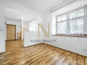 Pronájem bytu 1+1, Radnice, Na Potocích, 32 m2