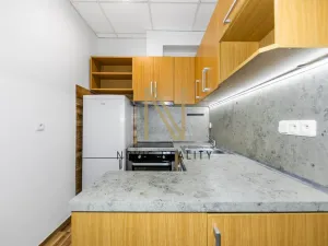 Pronájem bytu 1+1, Radnice, Na Potocích, 32 m2