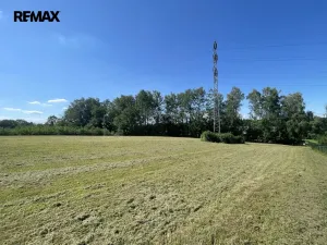 Prodej pozemku pro bydlení, Horní Domaslavice, 5500 m2