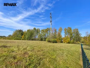 Prodej pozemku pro bydlení, Horní Domaslavice, 5500 m2