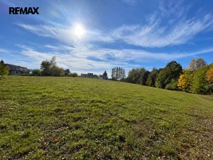 Prodej pozemku pro bydlení, Horní Domaslavice, 5500 m2
