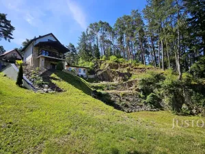 Prodej chaty, Slabčice - Písecká Smoleč, 115 m2